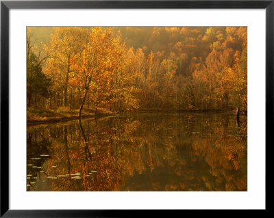 Autumn Reflections On Pond, Missouri, Usa by Gayle Harper Pricing Limited Edition Print image