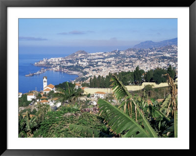 View Over Funchal, Madeira, Portuga, Atlantic by Hans Peter Merten Pricing Limited Edition Print image
