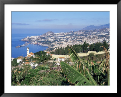 View Over Funchal, Madeira, Portuga, Atlantic by Hans Peter Merten Pricing Limited Edition Print image