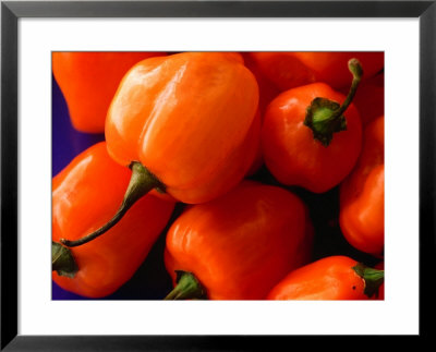 Red Peppers, Australia by John Hay Pricing Limited Edition Print image