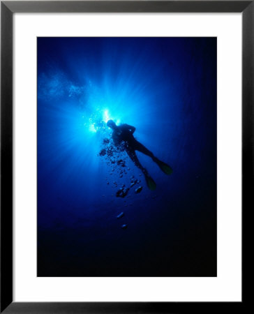 Diver In Persian Gulf, United Arab Emirates by Chris Mellor Pricing Limited Edition Print image
