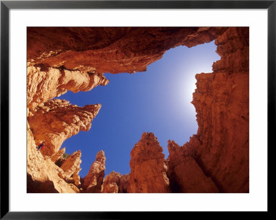 Wall Street Trail At Bryce Canyon, Utah, Usa by Daisy Gilardini Pricing Limited Edition Print image