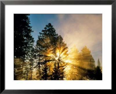 God Rays From Morning Fog Along The Madison River, Yellowstone National Park, Wyoming, Usa by Chuck Haney Pricing Limited Edition Print image