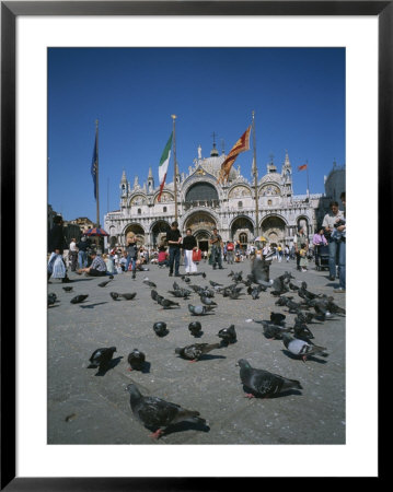 Tourists Feed The Pigeons In Saint Marks Square In Venice, Italy by Taylor S. Kennedy Pricing Limited Edition Print image