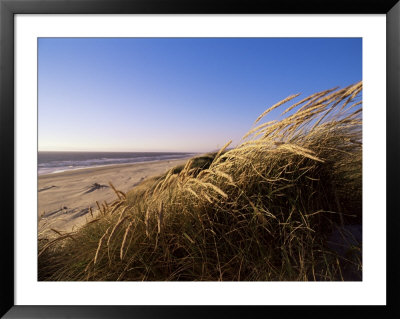 Coos Bay, On The Pacific Coast, Oregon, United States Of America (U.S.A.), North America by Aaron Mccoy Pricing Limited Edition Print image