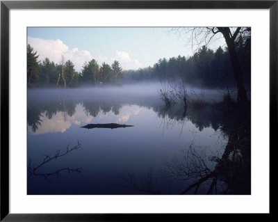 Lake Muskokas, Ontario by David Scott Pricing Limited Edition Print image