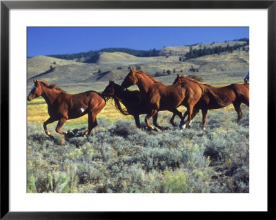 Horses Running Through Field, Seneca, Or by Inga Spence Pricing Limited Edition Print image