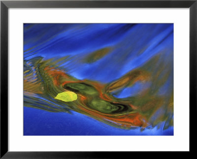 Birch Leaf In River Current With Autumn And Sky Reflections, Upper Peninsula, Michigan, Usa by Mark Carlson Pricing Limited Edition Print image