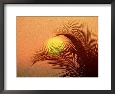 Palm Tree And Sunset by Jerry Koontz Pricing Limited Edition Print image