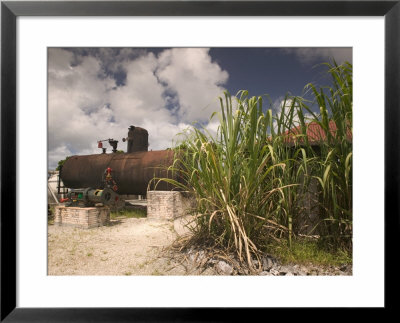 18Th Century Rum Distillery, Marie-Galante Island, Guadaloupe, Caribbean by Walter Bibikow Pricing Limited Edition Print image