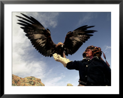 Takhuu Raising His Eagle, Golden Eagle Festival, Mongolia by Amos Nachoum Pricing Limited Edition Print image
