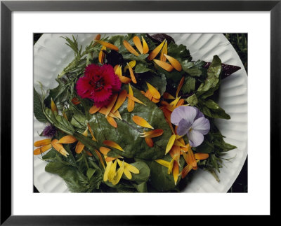 An Edible Salad At The Tilth Harvest Festival In Seattle by Sam Abell Pricing Limited Edition Print image