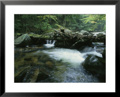 A Babbling Brook In The New Hampshire Woods by Heather Perry Pricing Limited Edition Print image