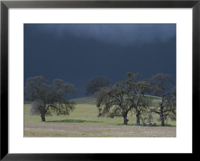 A Brooding Sky Looms Over Oak Trees And Pastures by Gordon Wiltsie Pricing Limited Edition Print image