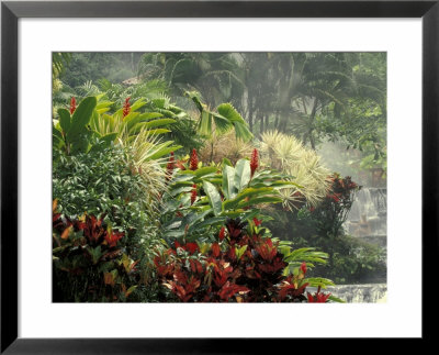 Woman At Tabacon Hot Springs Near Arenal Volcano, Costa Rica by Stuart Westmoreland Pricing Limited Edition Print image