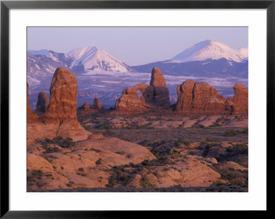 Garden Of Eden With La Sal Mountains Near Dusk, Arches National Park, Utah, Usa by Jamie & Judy Wild Pricing Limited Edition Print image