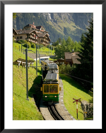 Jungfraujochbahn, Wengen, Lauterbrunnental, Switzerland by David Barnes Pricing Limited Edition Print image