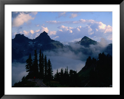Mist Shrouding The Valleys Of The Paradise Area Trails, Mt. Rainier National Park, Usa by John Elk Iii Pricing Limited Edition Print image
