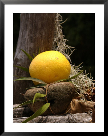 Offerings At Puu O Mahuka Heiau Near Waimea, Oahu, Hawaii, Usa by Bruce Behnke Pricing Limited Edition Print image