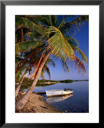 An Empty Boat Rests In Still Water Of Storr's Lake, Storr's Lake, Bahamas by Michael Lawrence Pricing Limited Edition Print image