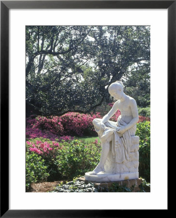 Middleton Gardens, Charleston, Sc by Ron Rocz Pricing Limited Edition Print image