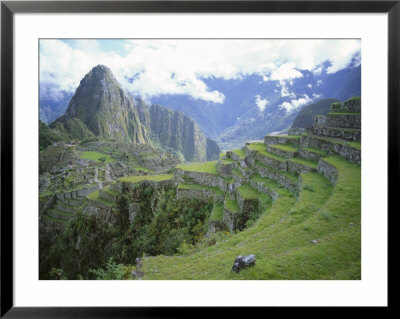 Inca Terraces And Ruins, Machu Picchu, Unesco World Heritage Site, Peru, South America by Oliviero Olivieri Pricing Limited Edition Print image