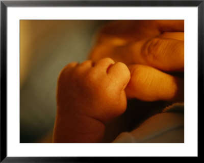 Close View Of The Hands Of An Infant And Parent by Raul Touzon Pricing Limited Edition Print image