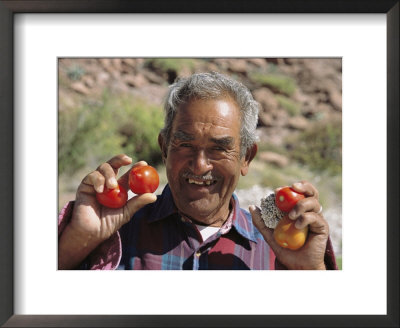A Man Holds Ripe Tomatoes In His Hands by Ed George Pricing Limited Edition Print image