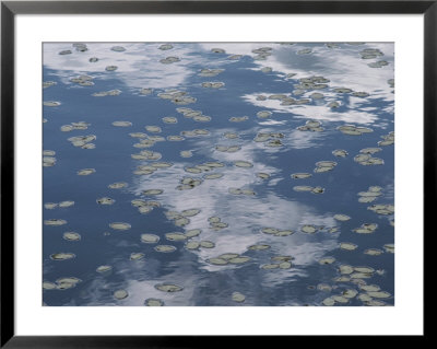 Fallen Leaves And Reflections Of Clouds On The Surface Of Water by Annie Griffiths Belt Pricing Limited Edition Print image