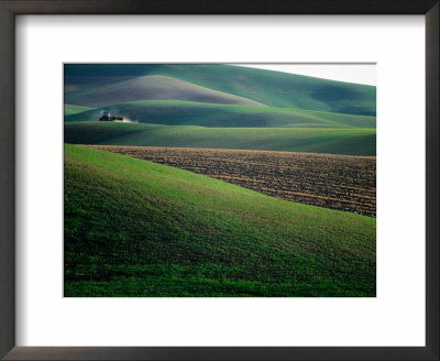 Rolling Hills And Ploughed Field In Spring, Palouse, U.S.A. by Ann Cecil Pricing Limited Edition Print image