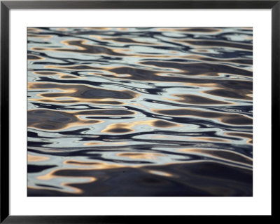 View Of The Shiny Surface Of Waters Off The Coast Of Antarctica by Bill Curtsinger Pricing Limited Edition Print image