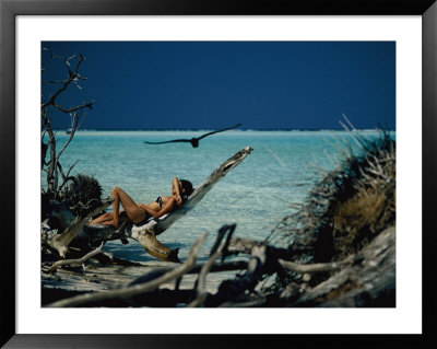 Reclining On Driftwood, A Sunbather Blends In With Her Surroundings by Jodi Cobb Pricing Limited Edition Print image