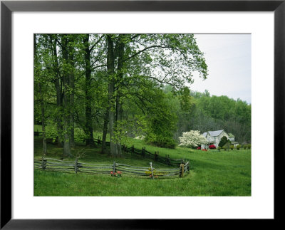 Trees Grow On A Hillside In Front Of An Old House by Annie Griffiths Belt Pricing Limited Edition Print image