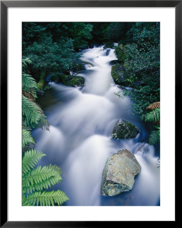 Time-Lapse Of The Taggerty River Flowing Over Rock Through The Rain Forest by Jason Edwards Pricing Limited Edition Print image