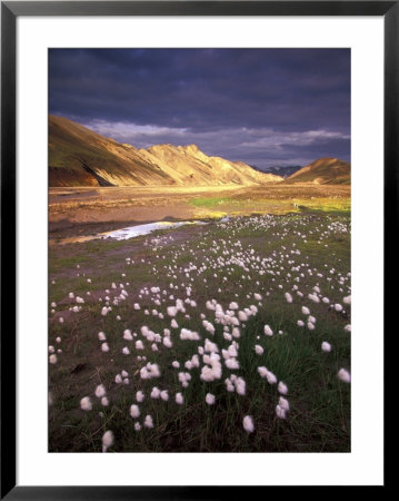 Cotongres, Iceland by Gavriel Jecan Pricing Limited Edition Print image