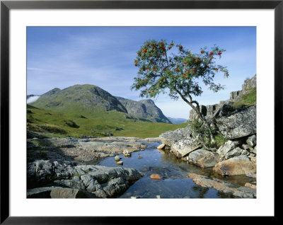 The Three Sisters Of Glencoe, Highland Region, Scotland, United Kingdom by Kathy Collins Pricing Limited Edition Print image