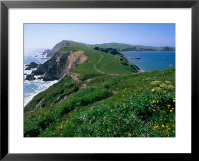Chimney Rock Dividing Drakes Bay And The Pacific Ocean, Point Reyes National Seashore, California by John Elk Iii Pricing Limited Edition Print image