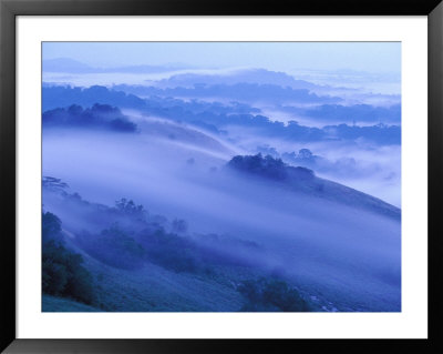 View Of The Minkebe Forest Blanketed In Mist by Michael Nichols Pricing Limited Edition Print image
