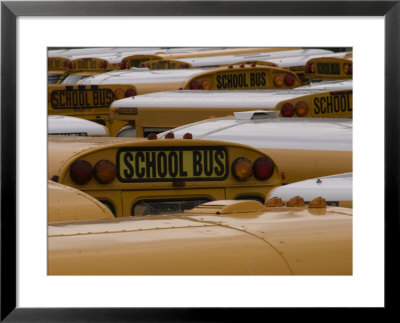 Close-Up Of Tops Of School Buses In A Parking Lot, Brooklyn, New York by Todd Gipstein Pricing Limited Edition Print image