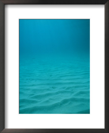 Underwater Shot Of Clear Blue Water Off Of The Virgin Islands by Raul Touzon Pricing Limited Edition Print image
