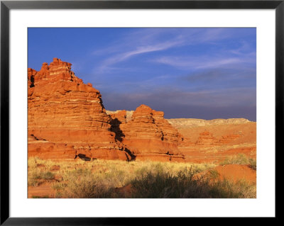 Painted Desert Landscape by David Edwards Pricing Limited Edition Print image
