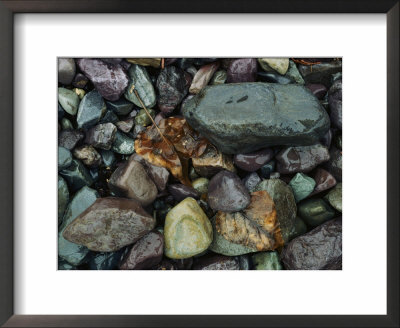 Rocks And Dead Leaves by Sam Abell Pricing Limited Edition Print image