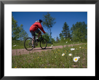 A Man Rides Along A Bike Trail On A Summer Day, Charlottetown, Prince Edward Island, Canada by Taylor S. Kennedy Pricing Limited Edition Print image