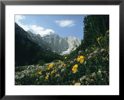 The North Wall Of Triglav Rises 9393 Feet Above The Vrata Valley by James P. Blair Pricing Limited Edition Print image