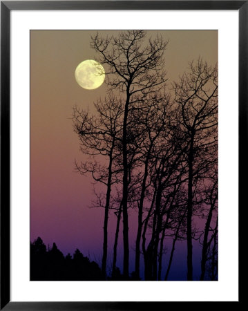 A Full Moon Shines On Winters Leafless Branches by George F. Mobley Pricing Limited Edition Print image