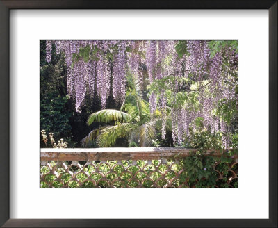 Mediterranean Garden, Lisbon, Portugal by Martine Mouchy Pricing Limited Edition Print image