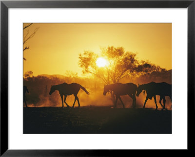 Horses Walk At Sunset by Joe Scherschel Pricing Limited Edition Print image