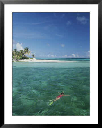 A Lone Snorkeler Floats In Waters Off A Palm Tree-Dotted Island by Michael Melford Pricing Limited Edition Print image