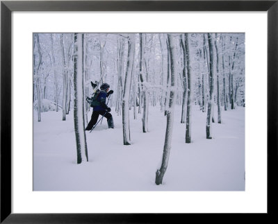 Man Carrying Snowboard While Snowshoeing Through Forest by Skip Brown Pricing Limited Edition Print image
