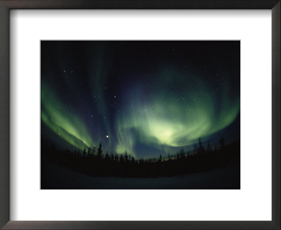 A Brilliant Display Of Aurorae Shot With A Fisheye Lens by Paul Nicklen Pricing Limited Edition Print image